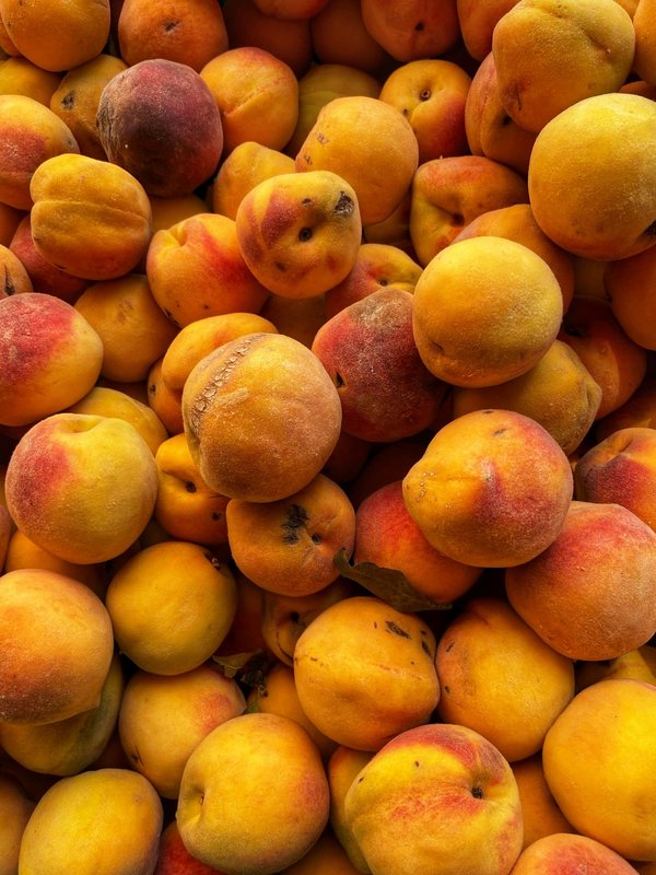 Où pratiquer la pêche au gros dans les eaux cristallines des Bahamas?